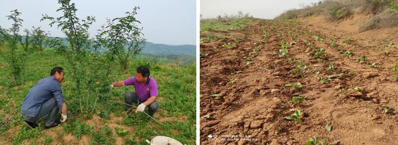 191621409069320783.jpeg QQ截圖20210517111206.jpg