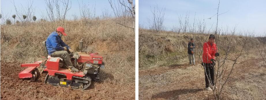 201650443788616937.jpeg 201650443788616937.jpeg