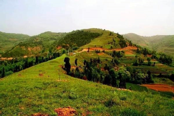 鄉村振興工作動態 (第143期)