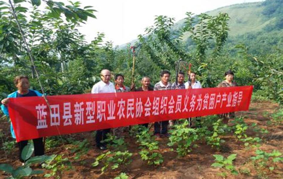 扶貧工作動態(第四十六期)