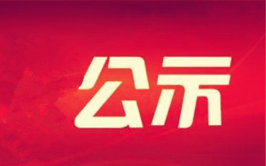 2016年市屬企業(yè)負責人薪酬情況