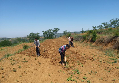 扶貧工作動態(第八十七期)