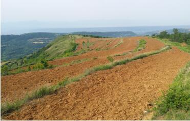 扶貧工作動態(第八十八期)