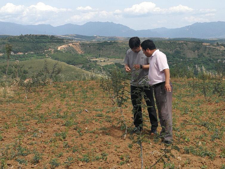 扶貧工作動(dòng)態(tài)(第110期)