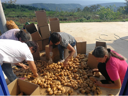 扶貧工作動(dòng)態(tài)(第114期)