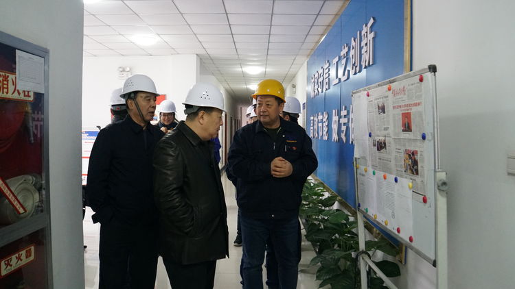 集團領導金輝帶隊赴標準電梯、標準熱處理進行工作調研