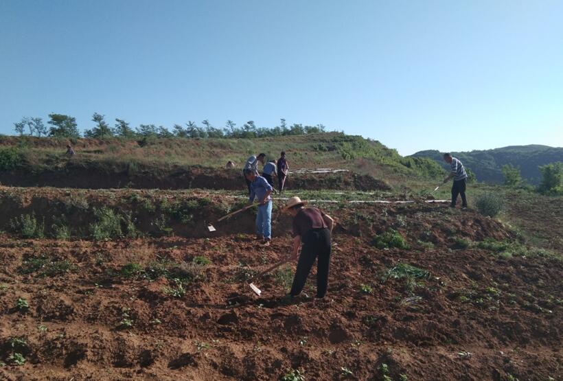 1558927329102075.jpg 1558927329102075.jpg