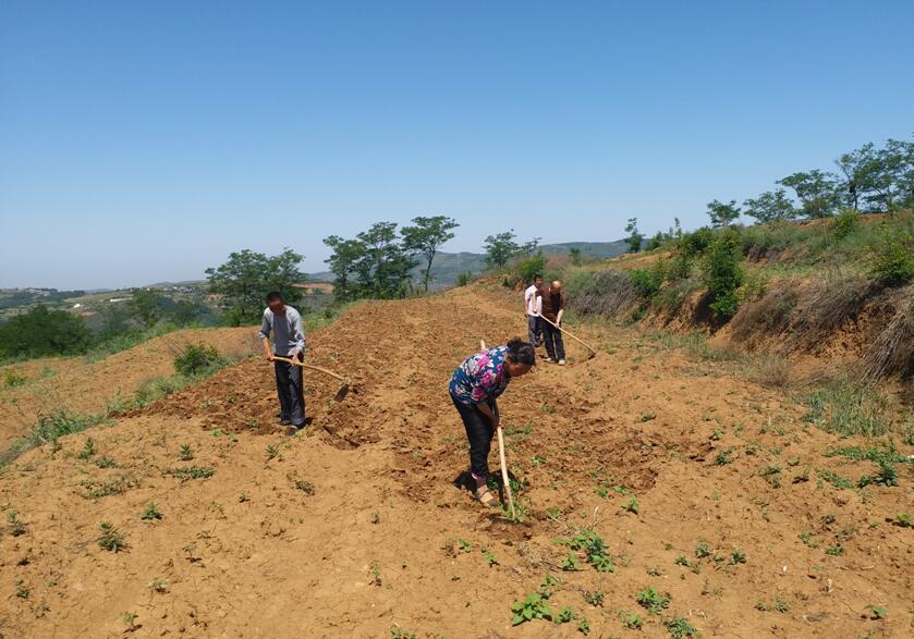 1558927345724956.jpg 1558927345724956.jpg