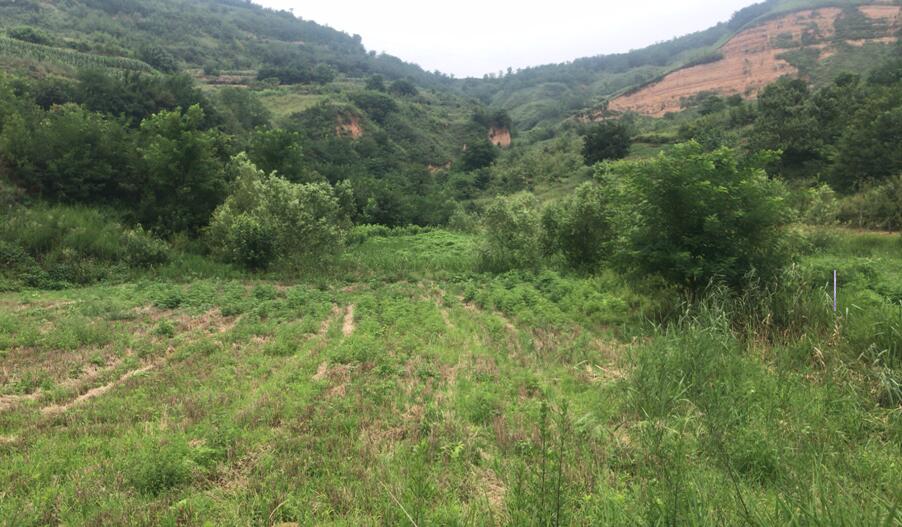 1565770553202421.jpg 1565770553202421.jpg