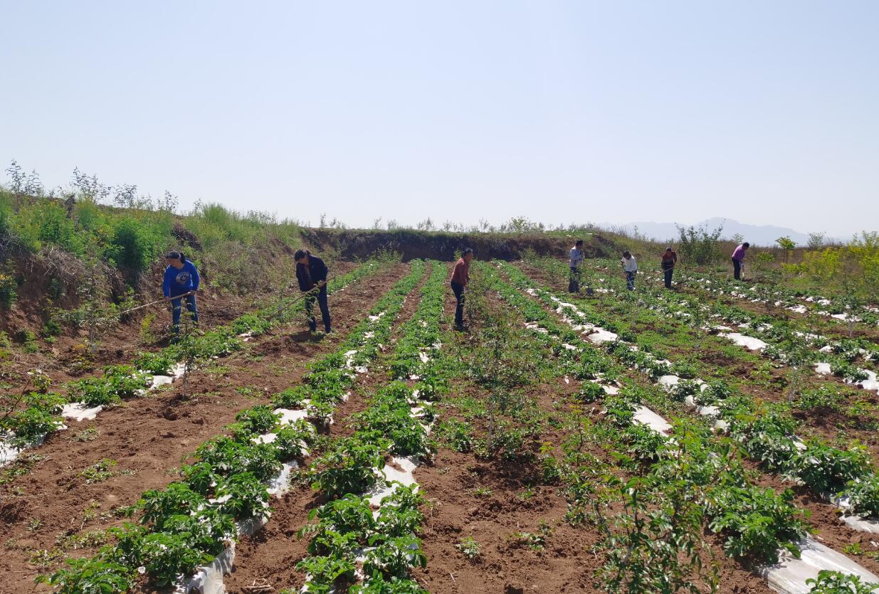 1606891869285946.jpg 1606891869285946.jpg